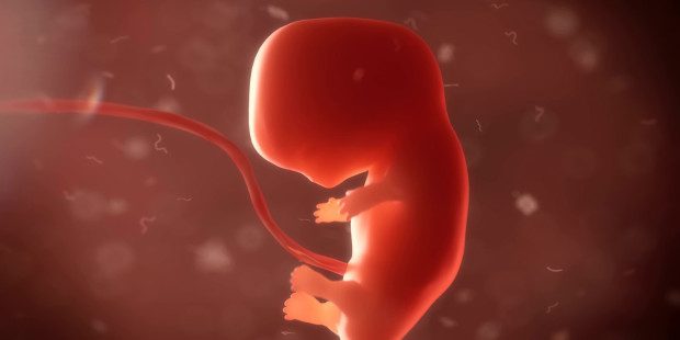 Aborto: "Una discusión que continúa vigente"