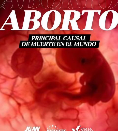 Aborto provocado: la primera causa de muerte en el mundo con más de 73 millones de casos
