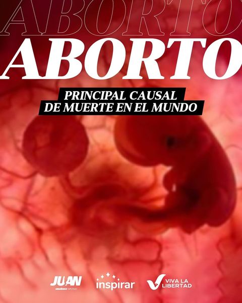 Aborto provocado: la primera causa de muerte en el mundo con más de 73 millones de casos