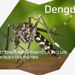 Acciones Efectivas para Prevenir el Dengue y Proteger a tu Comunidad