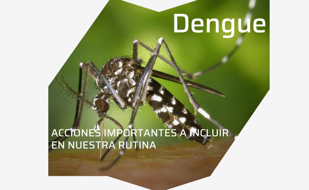 Acciones Efectivas para Prevenir el Dengue y Proteger a tu Comunidad