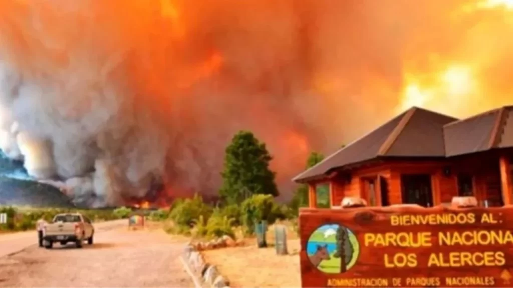 Incendios Forestales: Un Desastre Ambiental que Requiere Acción Inmediata