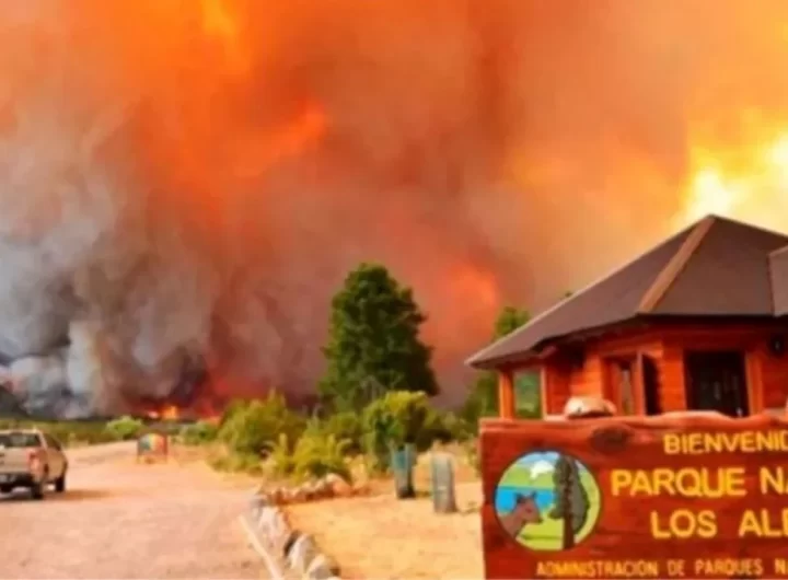 Incendios Forestales: Un Desastre Ambiental que Requiere Acción Inmediata
